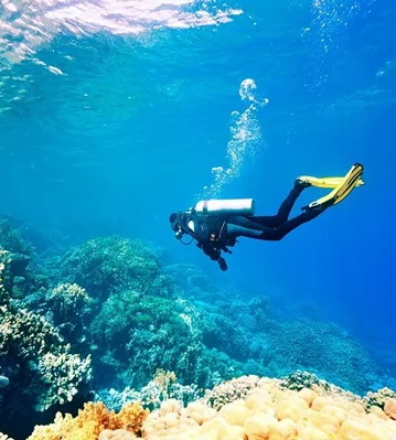 La Grande Barrière de corail